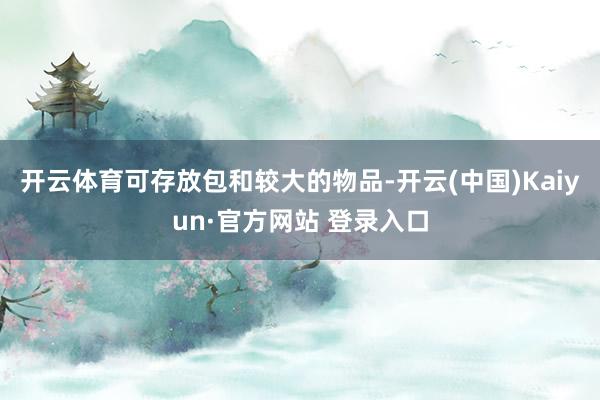 开云体育可存放包和较大的物品-开云(中国)Kaiyun·官方网站 登录入口