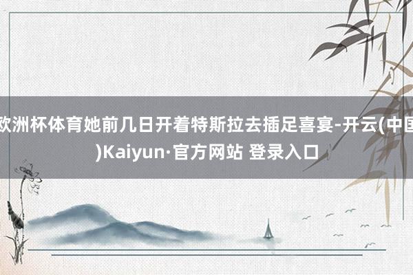 欧洲杯体育她前几日开着特斯拉去插足喜宴-开云(中国)Kaiyun·官方网站 登录入口