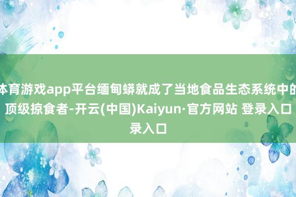体育游戏app平台缅甸蟒就成了当地食品生态系统中的顶级掠食者-开云(中国)Kaiyun·官方网站 登录入口