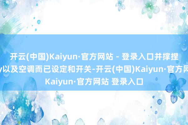 开云(中国)Kaiyun·官方网站 - 登录入口并撑捏手机CarPlay以及空调而已设定和开关-开云(中国)Kaiyun·官方网站 登录入口