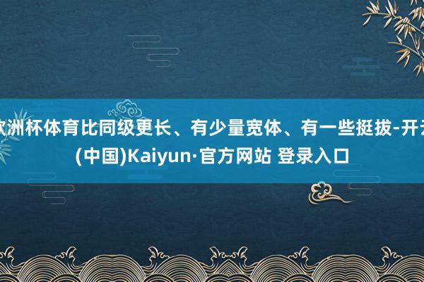 欧洲杯体育比同级更长、有少量宽体、有一些挺拔-开云(中国)Kaiyun·官方网站 登录入口