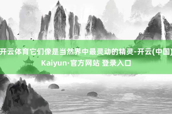 开云体育它们像是当然界中最灵动的精灵-开云(中国)Kaiyun·官方网站 登录入口