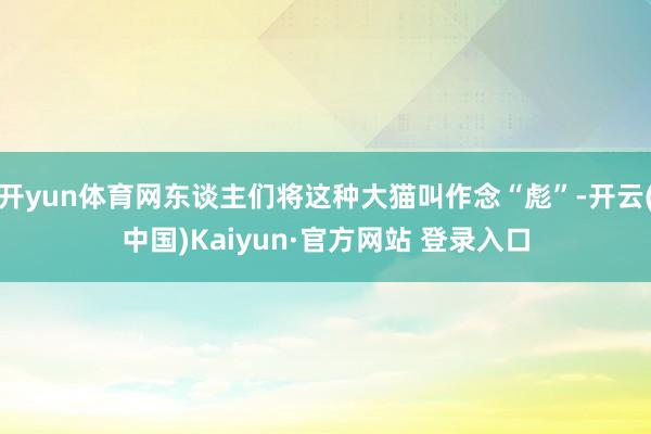 开yun体育网东谈主们将这种大猫叫作念“彪”-开云(中国)Kaiyun·官方网站 登录入口