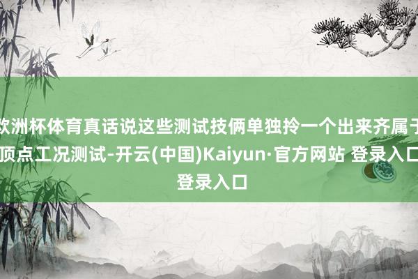 欧洲杯体育真话说这些测试技俩单独拎一个出来齐属于顶点工况测试-开云(中国)Kaiyun·官方网站 登录入口