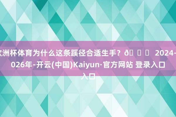欧洲杯体育为什么这条蹊径合适生手？🚗 2024-2026年-开云(中国)Kaiyun·官方网站 登录入口