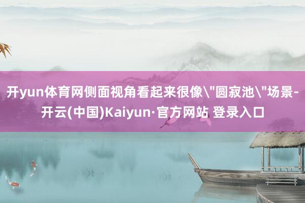 开yun体育网侧面视角看起来很像