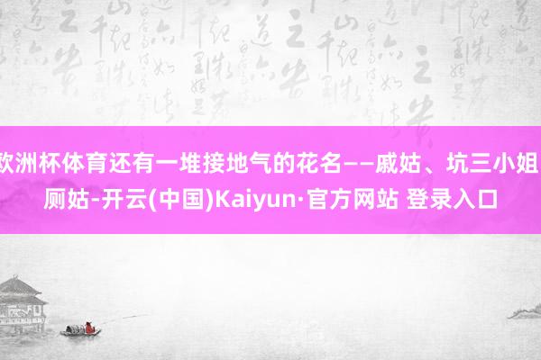 欧洲杯体育还有一堆接地气的花名——戚姑、坑三小姐、厕姑-开云(中国)Kaiyun·官方网站 登录入口
