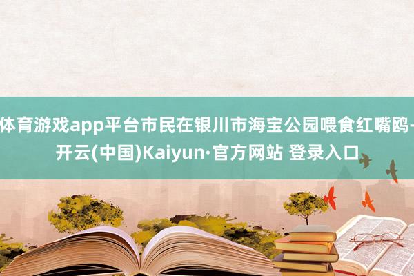 体育游戏app平台市民在银川市海宝公园喂食红嘴鸥-开云(中国)Kaiyun·官方网站 登录入口